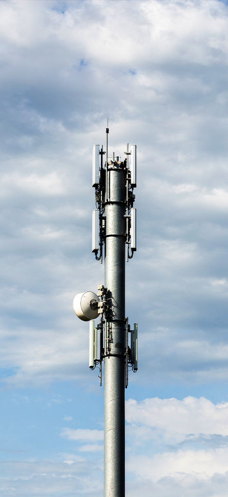 Embracing the Machine Economy